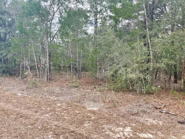 Defuniak Springs, FL 32433,Lot 40 Beethoven Circle