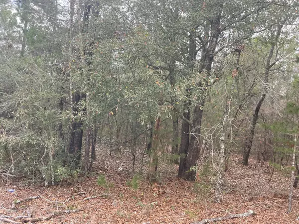 Defuniak Springs, FL 32433,Lot 40 Beethoven Circle