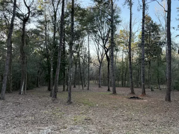 Crestview, FL 32536,TBD 3 Acre River Loop Drive