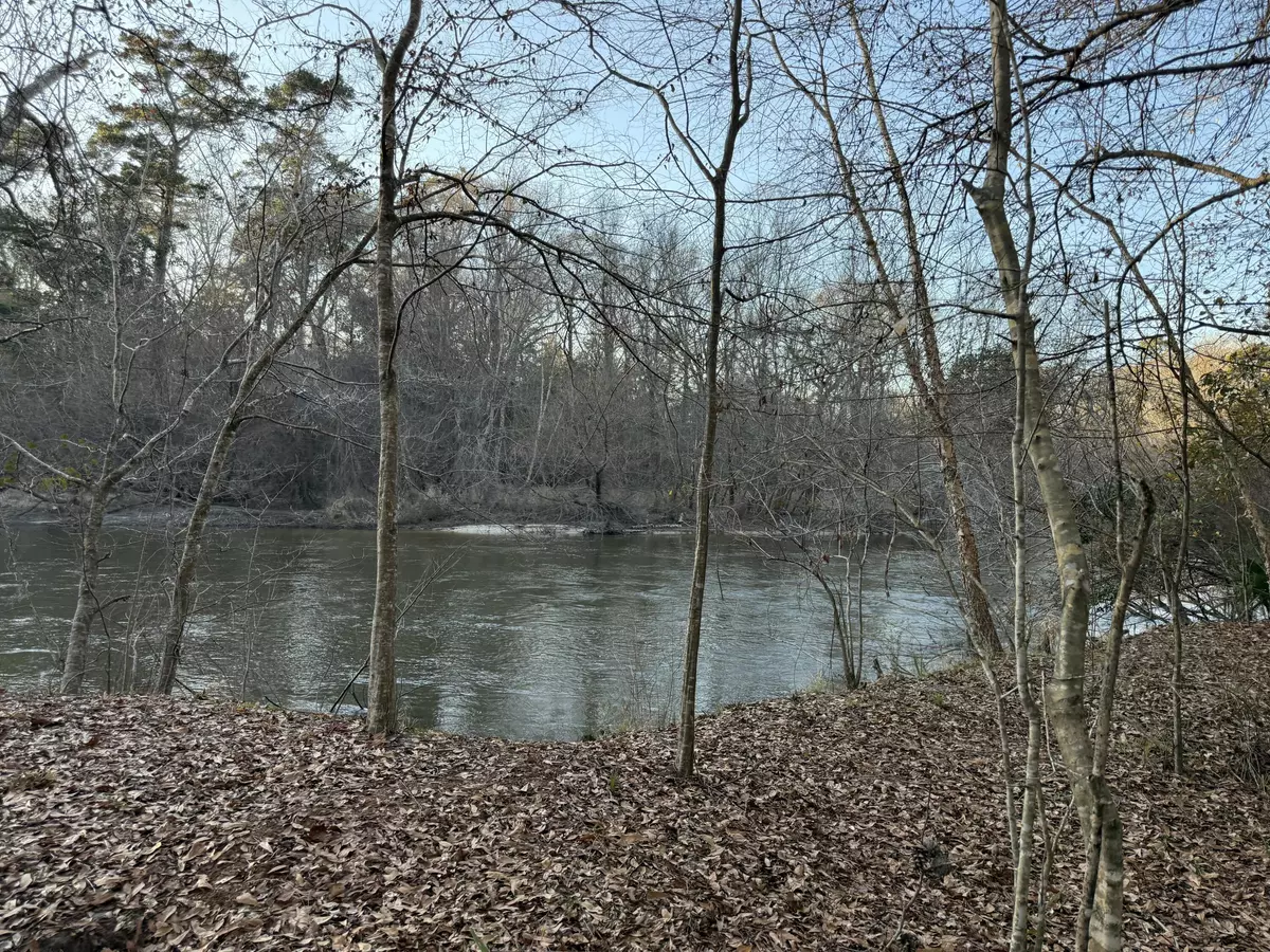 Crestview, FL 32536,TBD 3 Acre River Loop Drive