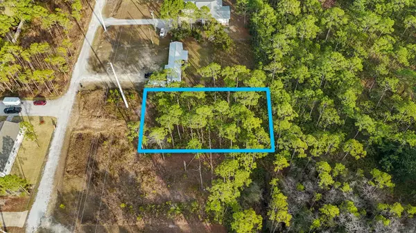 Santa Rosa Beach, FL 32459,Lot 11 Monks Lane