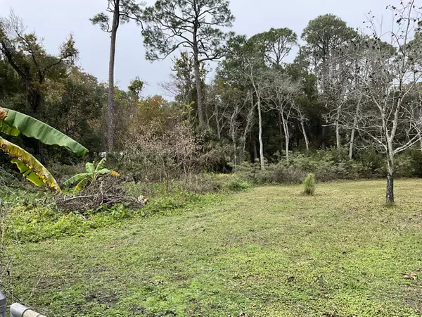 Apalachiacola, FL 32320,443 US-98