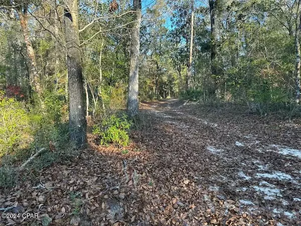 Ebro, FL 32437,000 Strickland Road