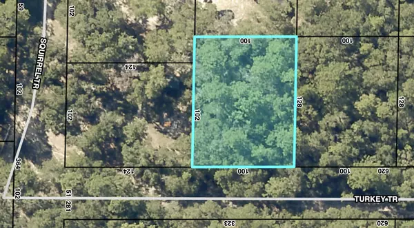 Milton, FL 32583,TBD Turkey Trail
