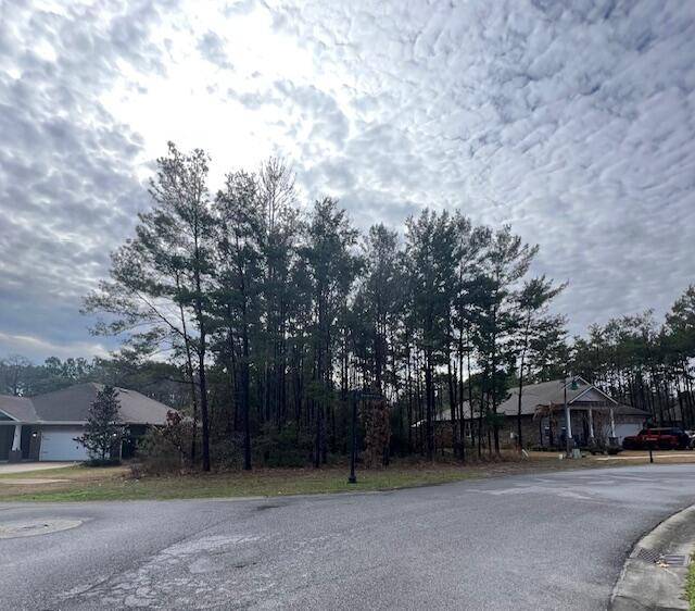 Freeport, FL 32439,Lot 41 Barefoot Cove