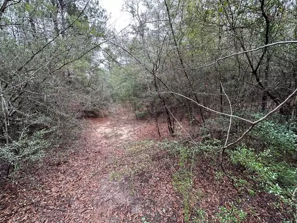 Crestview, FL 32539,00 Pennington Road