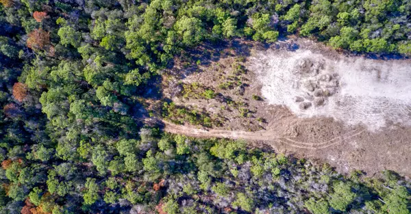 Santa Rosa Beach, FL 32459,Tract I Sandgrass Blvd Boulevard