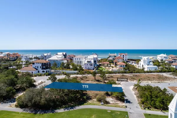 Inlet Beach, FL 32461,TT5 Buggy Whip Lane