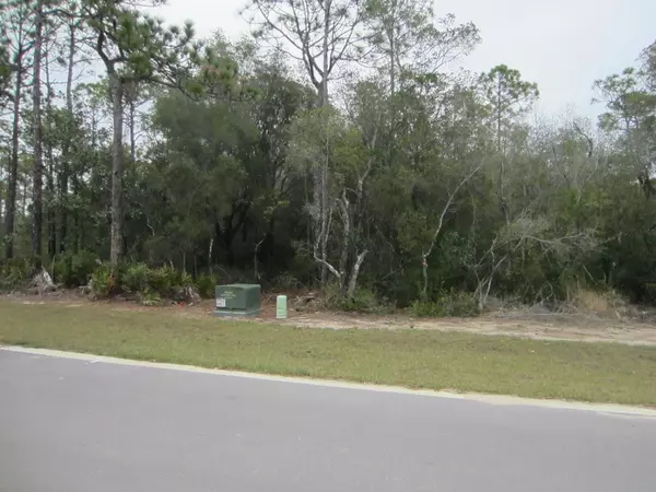 Lot 19 N Montigo Avenue, Santa Rosa Beach, FL 32459