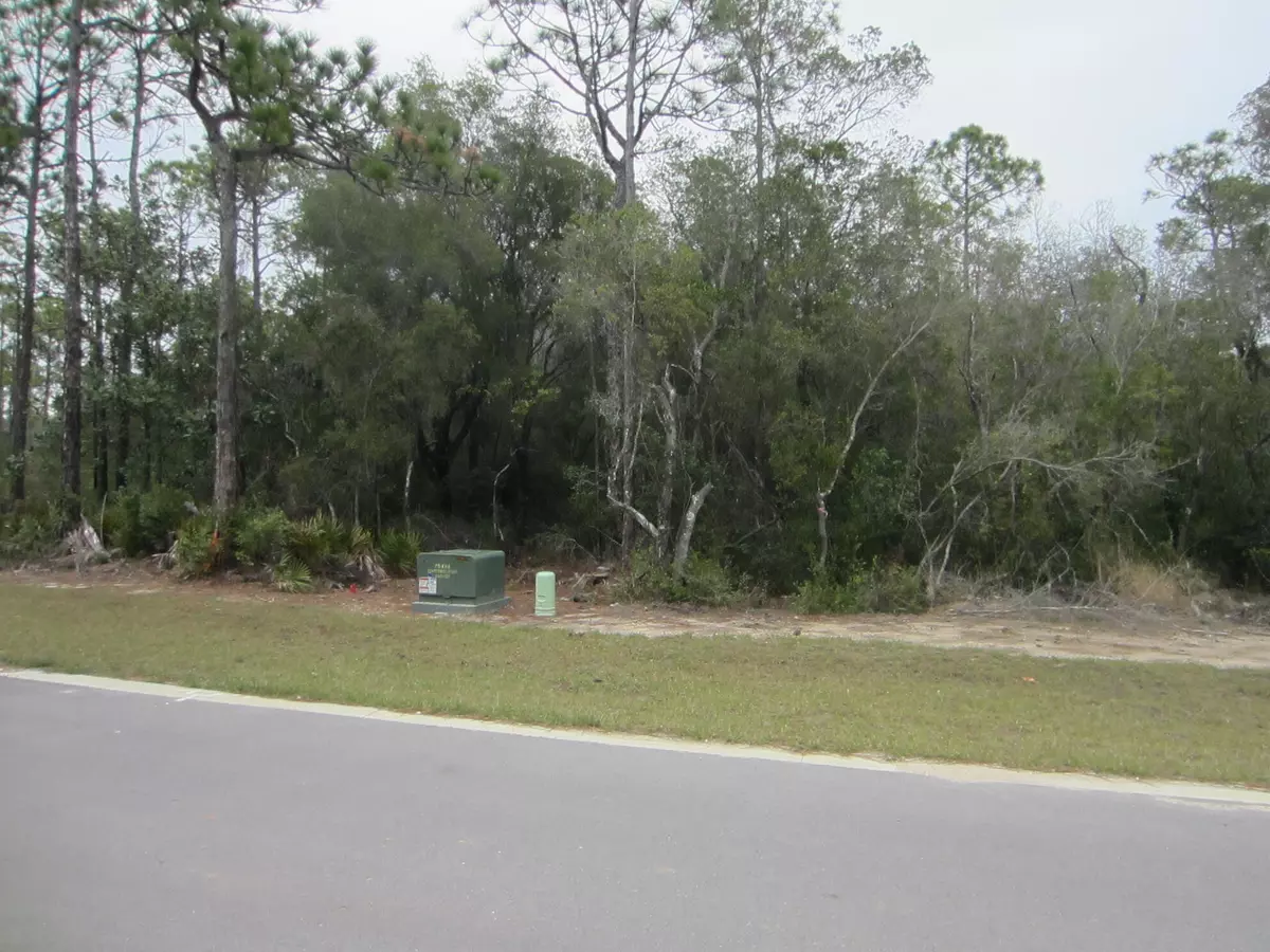 Santa Rosa Beach, FL 32459,Lot 19 N Elm Street