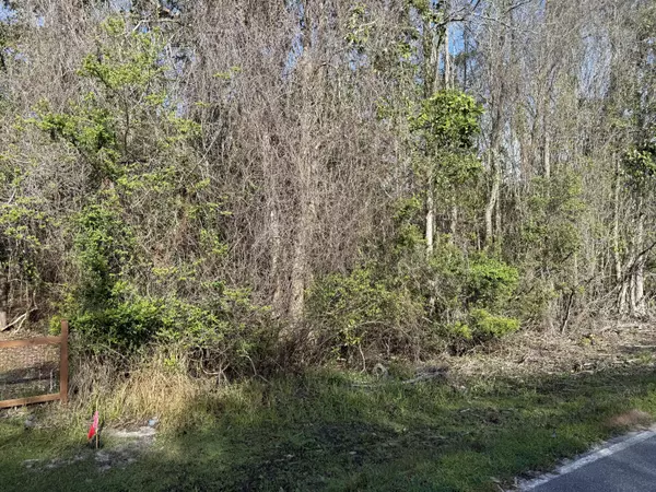 Freeport, FL 32439,Lot 8 Marsh Drive