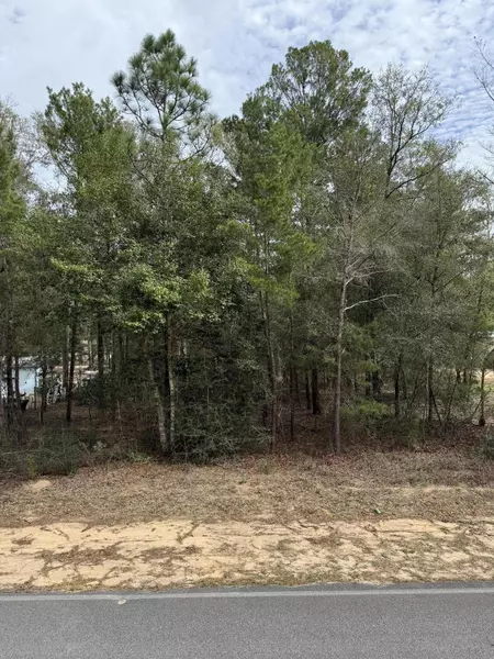 TBD Owens Road, Defuniak Springs, FL 32433