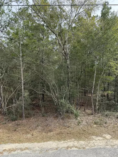 Lot 21 W Picasso Circle, Defuniak Springs, FL 32433