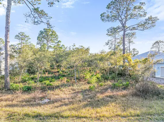 Santa Rosa Beach, FL 32459,Lot 30 Paradise Point Lane