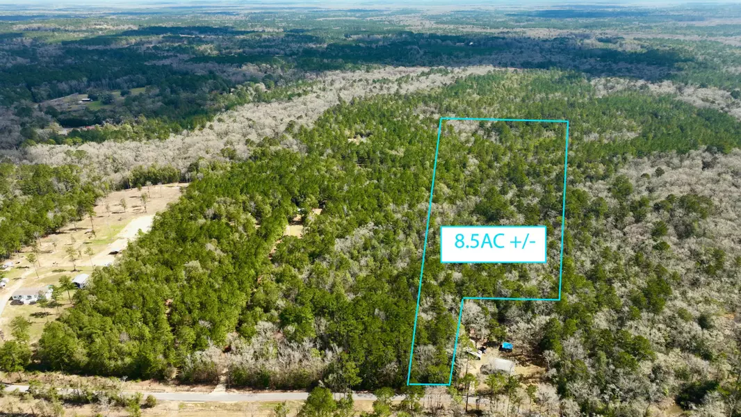 TBD White Creek Road, Ponce De Leon, FL 32455