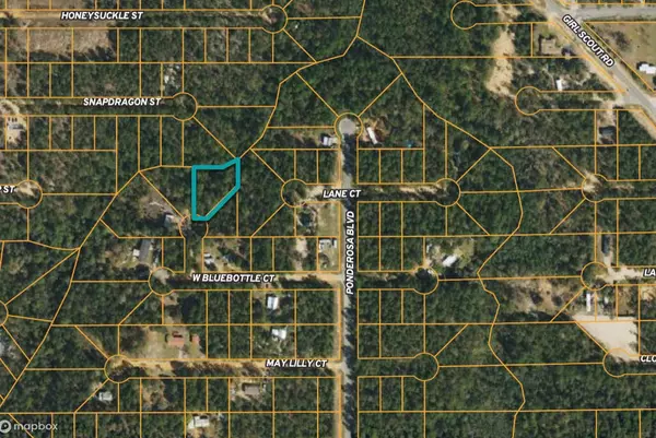 Defuniak Springs, FL 32433,0 Possum Lane