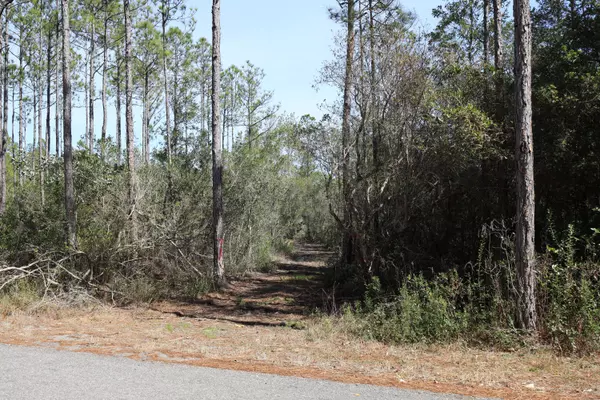 Ponce De Leon, FL 32455,3 Acres Antioch Cemetery Road