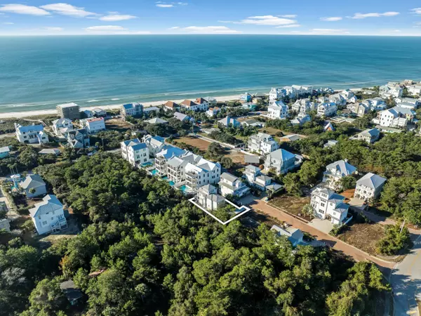 45 Eagles Landing, Inlet Beach, FL 32461