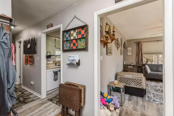 Mary Esther, FL 32569,243 Paschel Avenue