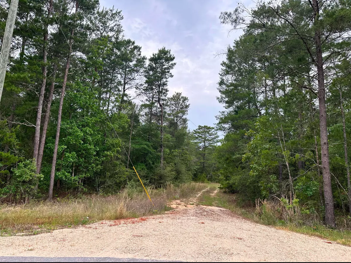 Defuniak Springs, FL 32433,799 Osage Drive