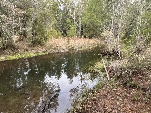 Holt, FL 32564,2.74Ac Dove Run Road