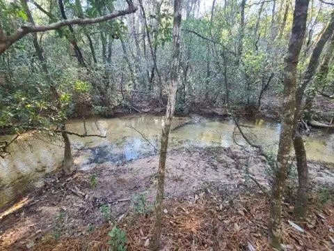 Defuniak Springs, FL 32433,4 Ac Seven Oaks Road