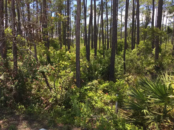 Miramar Beach, FL 32550,Lot 29 Shelley South Way