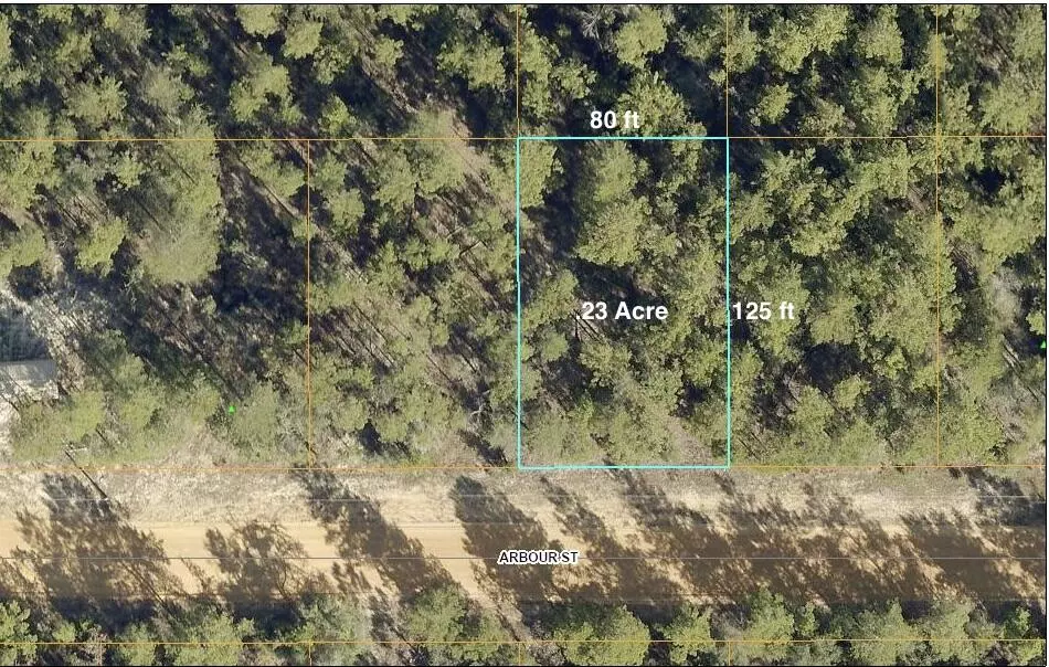 Defuniak Springs, FL 32433,Lot 22 Arbour Street