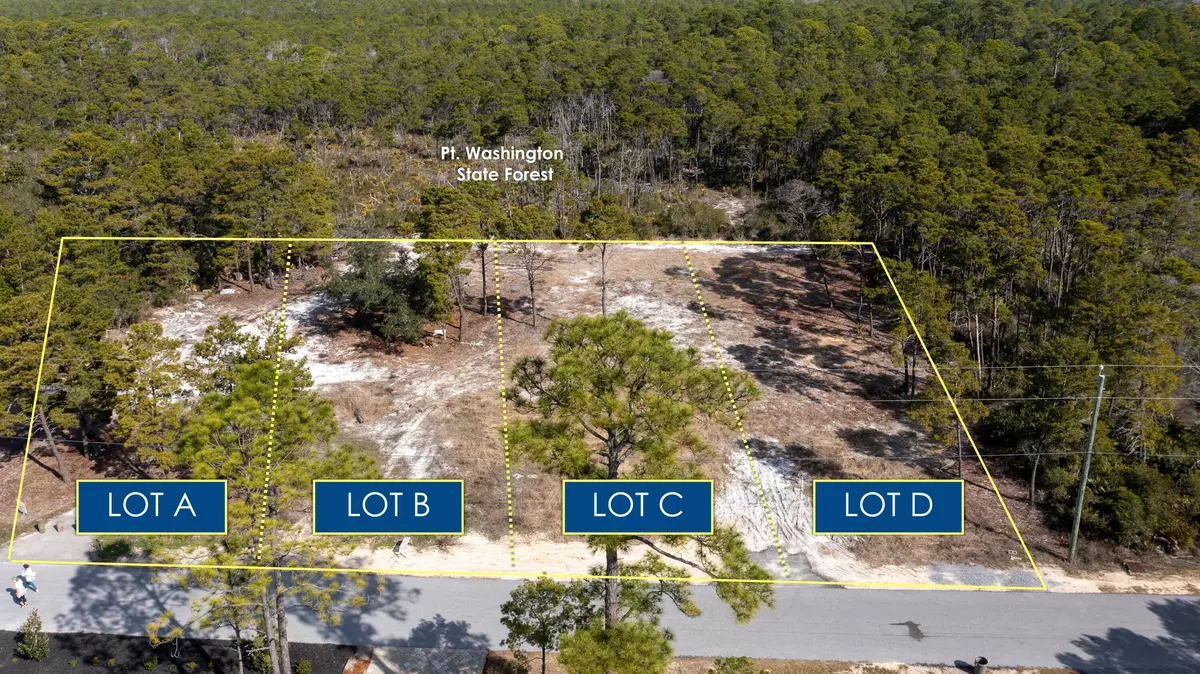 Santa Rosa Beach, FL 32459,TBD Parcel D Lee Place Place