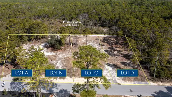 TBD Parcel D Lee Place Place, Santa Rosa Beach, FL 32459
