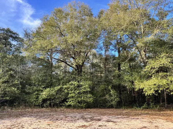 Crestview, FL 32539,3105 Zadie Lane
