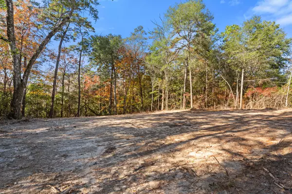 Crestview, FL 32536,Lot 25 Genevieve Way