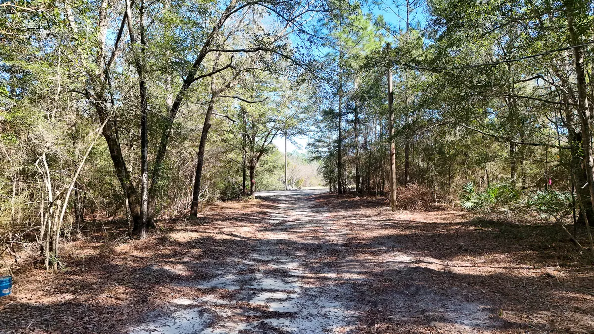 Defuniak Springs, FL 32433,317 Beasley Drive