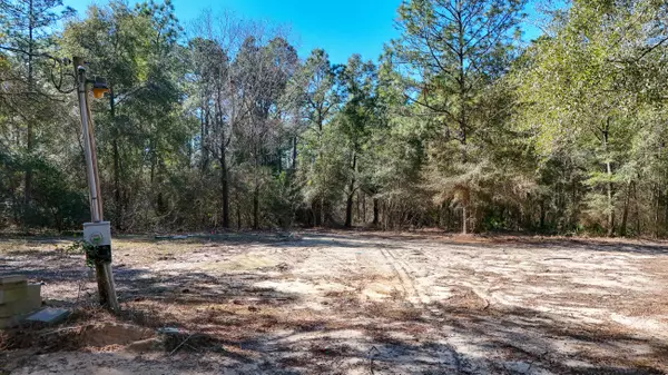 Defuniak Springs, FL 32433,317 Beasley Drive