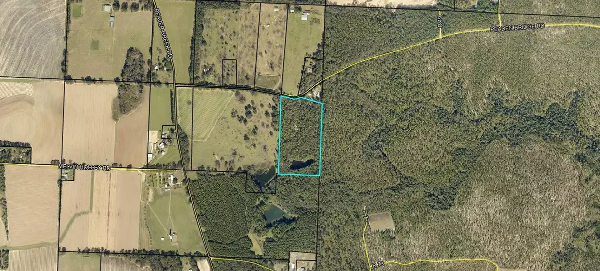 Baker, FL 32531,16.53AC Peaden Bridge Road