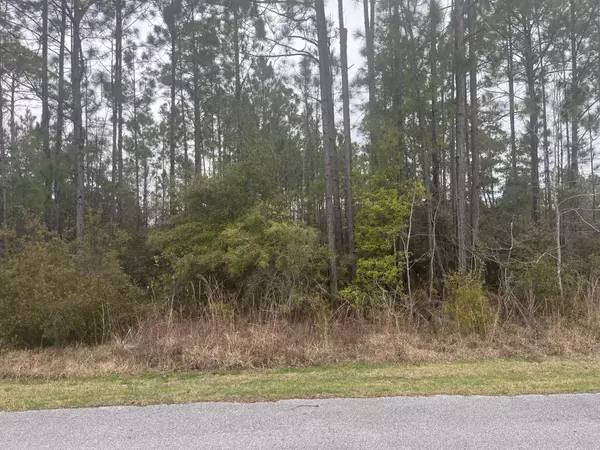 Freeport, FL 32439,Lot 3 Sun Bear Circle