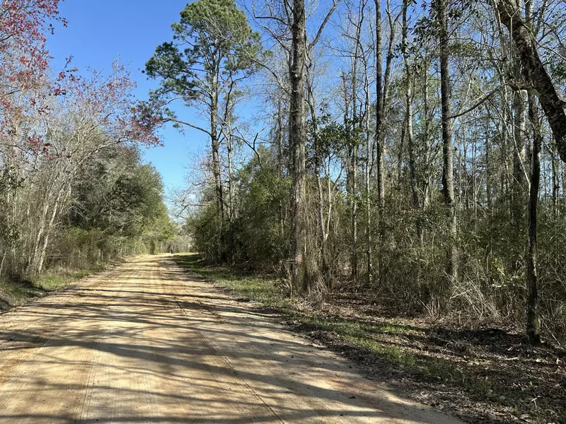 Tract#6317 Harris Stevenson Road, Bonifay, FL 32425