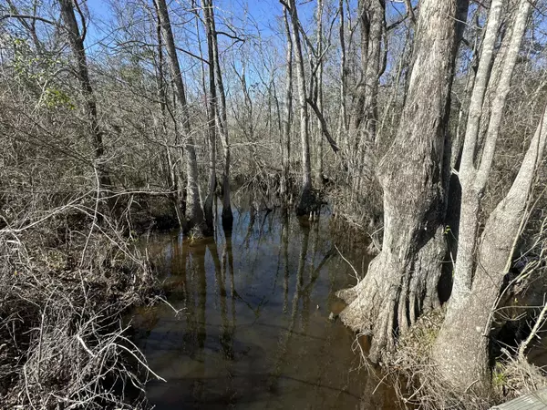 Bonifay, FL 32425,Tract#6317 Harris Stevenson Road