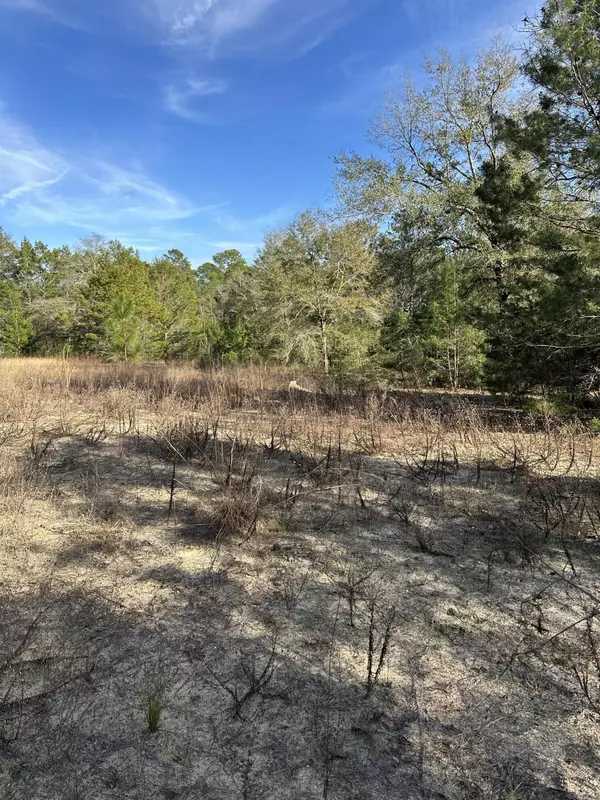 Crestview, FL 32539,5225 Kimp Road