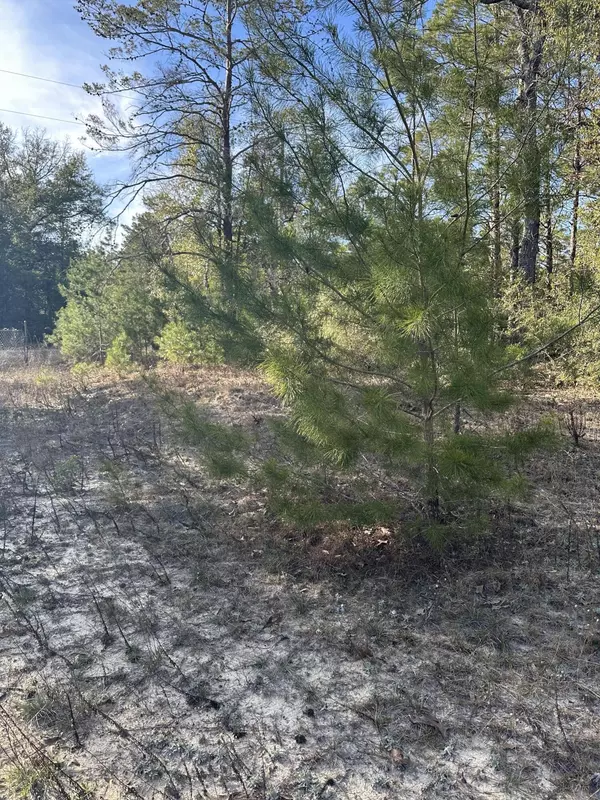 Crestview, FL 32539,5225 Kimp Road