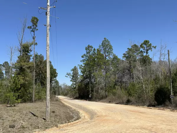 Chipley, FL 32428,Tract#6411 SW White Road  #Open Creek