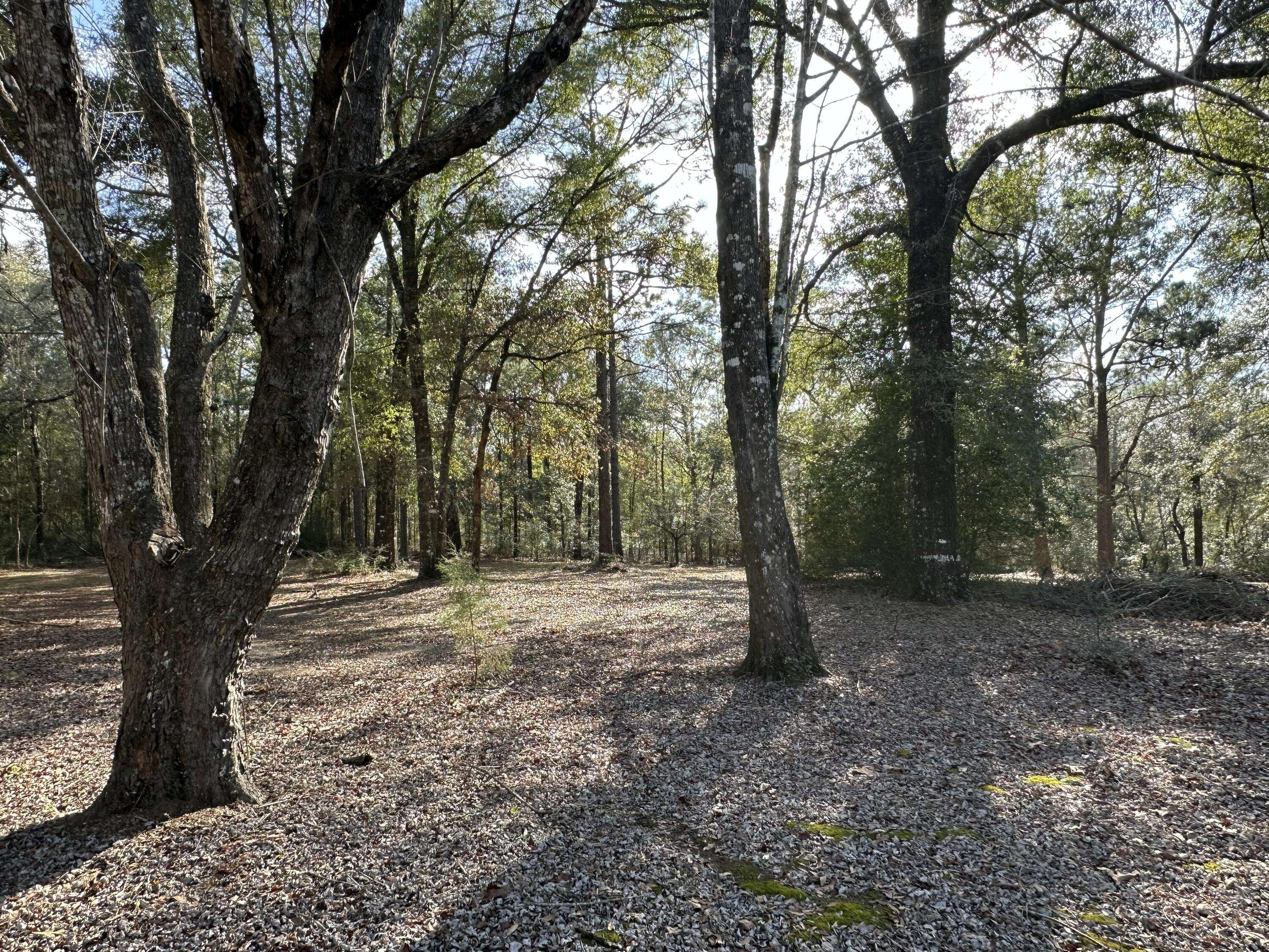 Crestview, FL 32539,5895 Pineforest Drive  #Parcel A