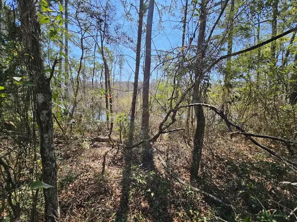 Freeport, FL 32439,xx W St Highway 20 Highway