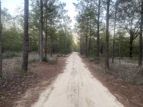 Defuniak Springs, FL 32433,00 E Black Cherry Drive
