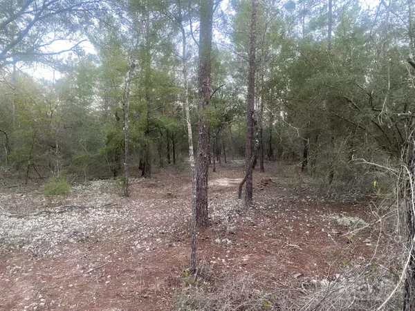 Defuniak Springs, FL 32433,00 E Black Cherry Drive
