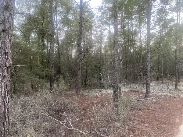 Defuniak Springs, FL 32433,00 E Black Cherry Drive