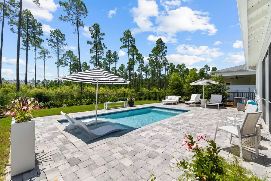 292 Naturewalk Boulevard, Inlet Beach, FL 32461