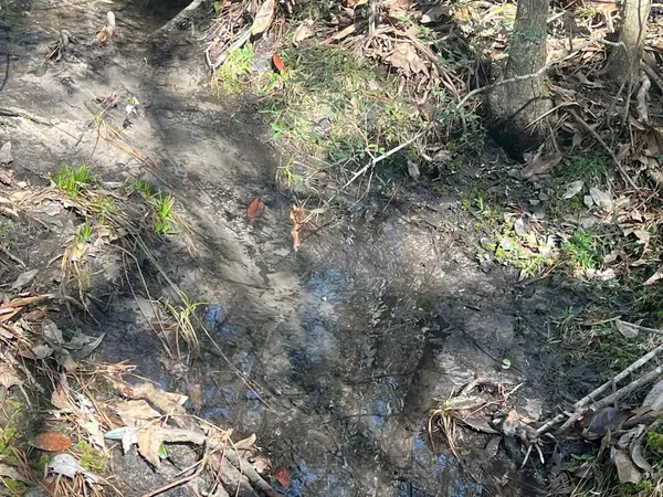 Defuniak Springs, FL 32435,166 Miller Road