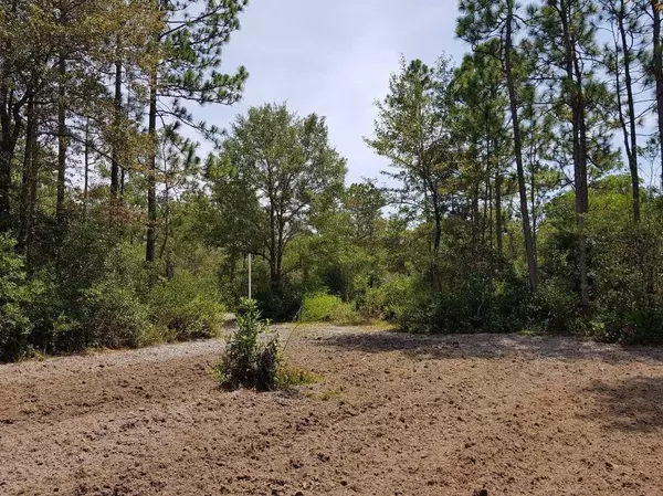 Crestview, FL 32539,TBD Sowell Drive