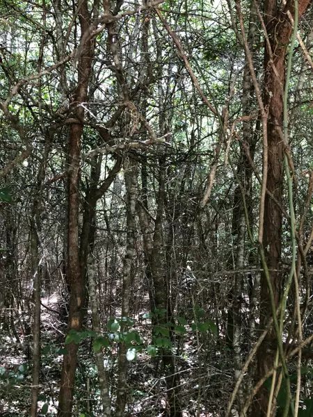 Parcel C Yellow River Baptist Church Road, Baker, FL 32531